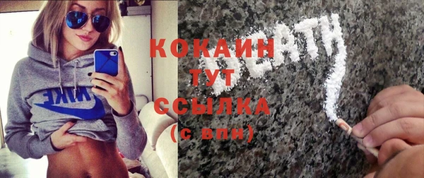 ГАЛЛЮЦИНОГЕННЫЕ ГРИБЫ Алзамай
