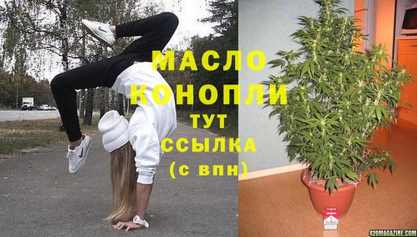крисы Алексин
