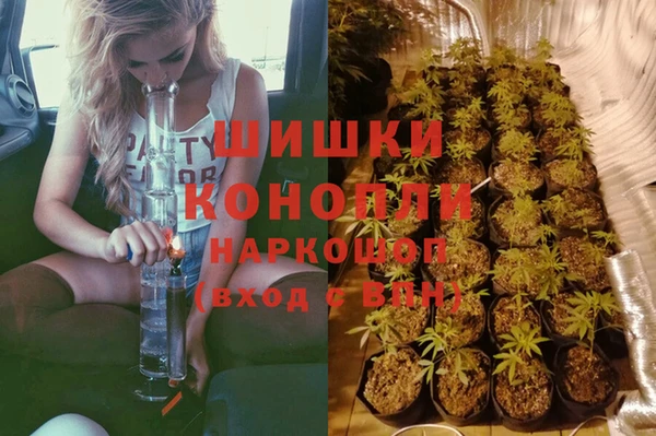 крисы Алексин