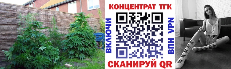 как найти закладки  Выкса  KRAKEN ссылки  ТГК концентрат 