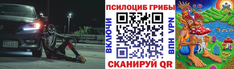 Псилоцибиновые грибы прущие грибы  Выкса 