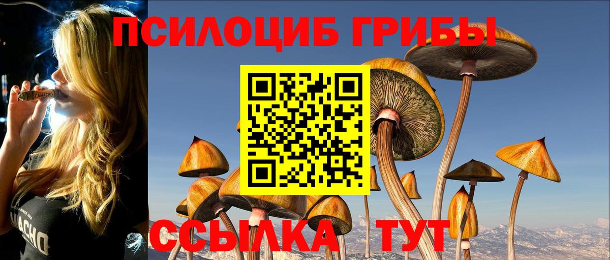 Псилоцибиновые грибы мицелий Выкса