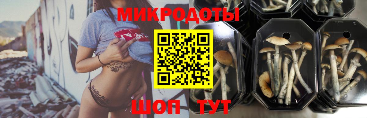 Выкса  Галлюциногенные грибы ЛСД  Псилоцибиновые грибы Magic Shrooms  Вход с VPN 